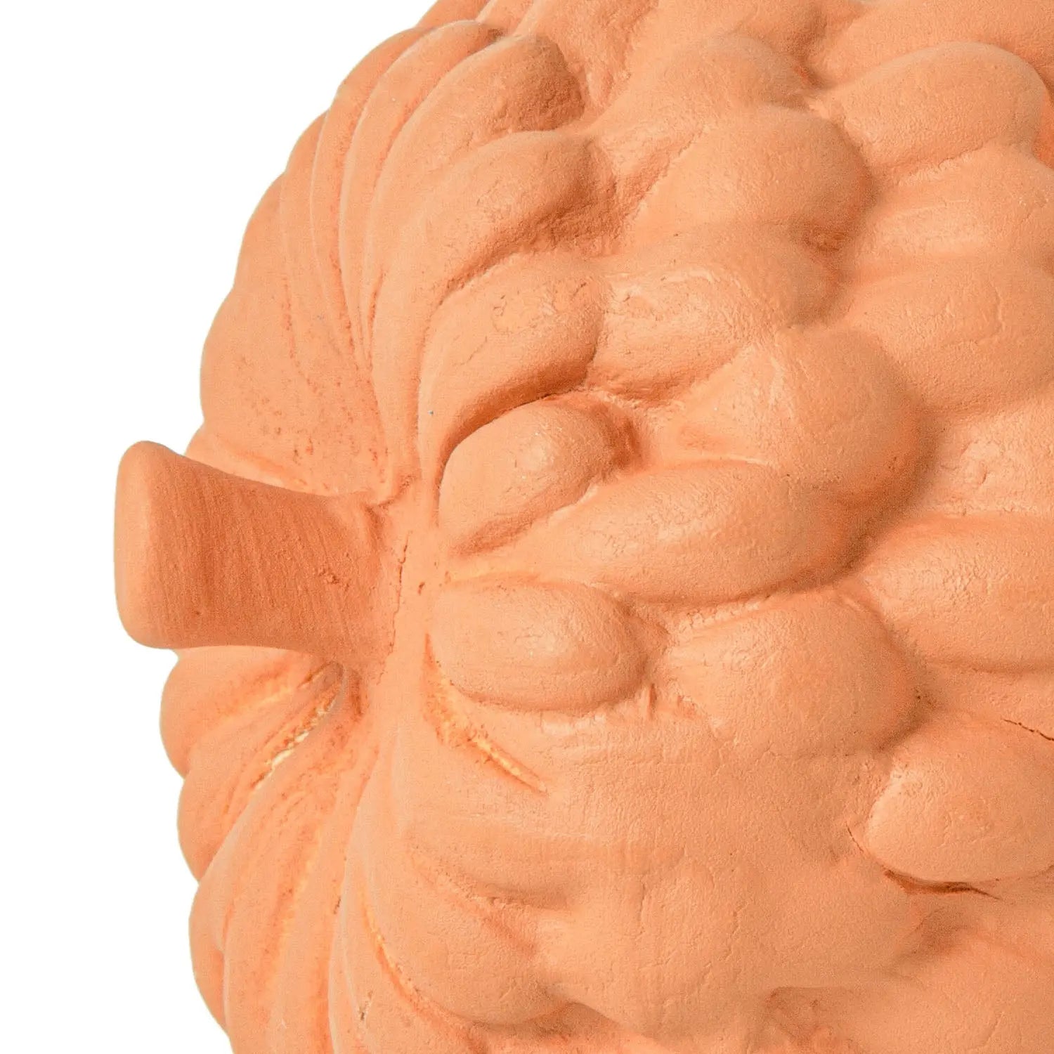 Homedock Escultura Fruits Atemoya 14 cm – Terracota Mart