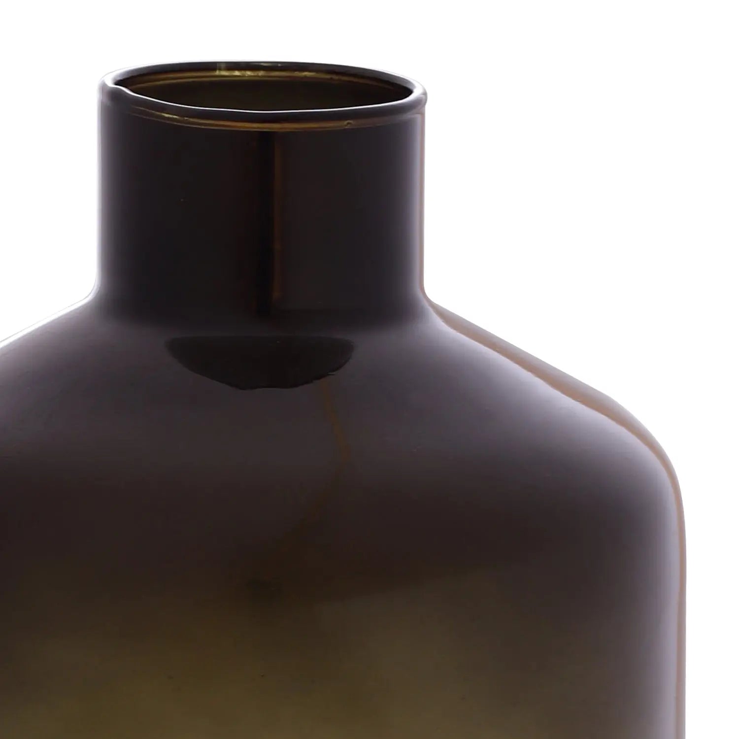 Homedock Vaso Decorativo em Vidro Bottle Erva Doce 37 cm DEVITRO